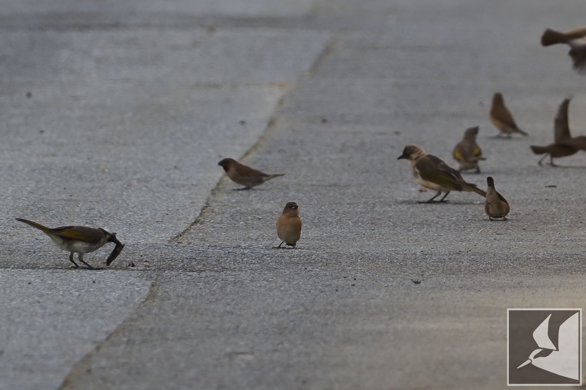 f:id:Okiyasu:20210706230550j:plain