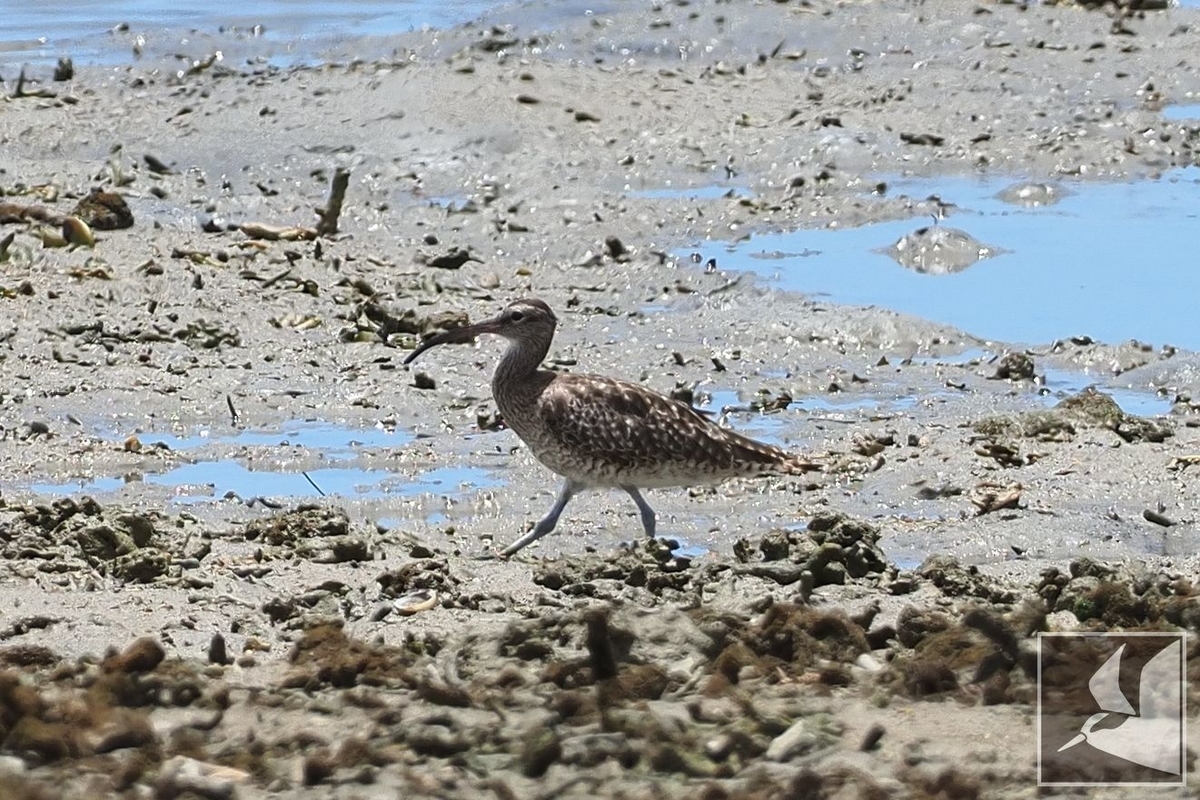 f:id:Okiyasu:20210719201649j:plain