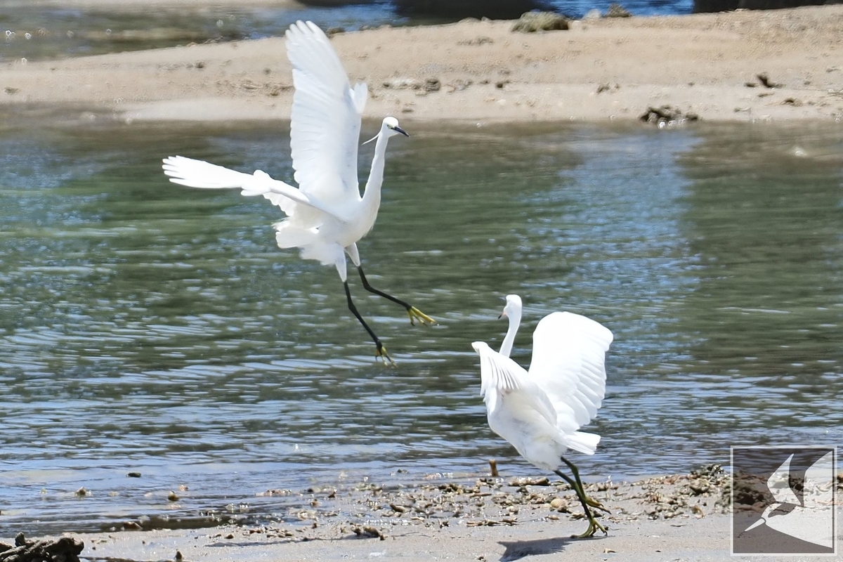 f:id:Okiyasu:20210719201841j:plain