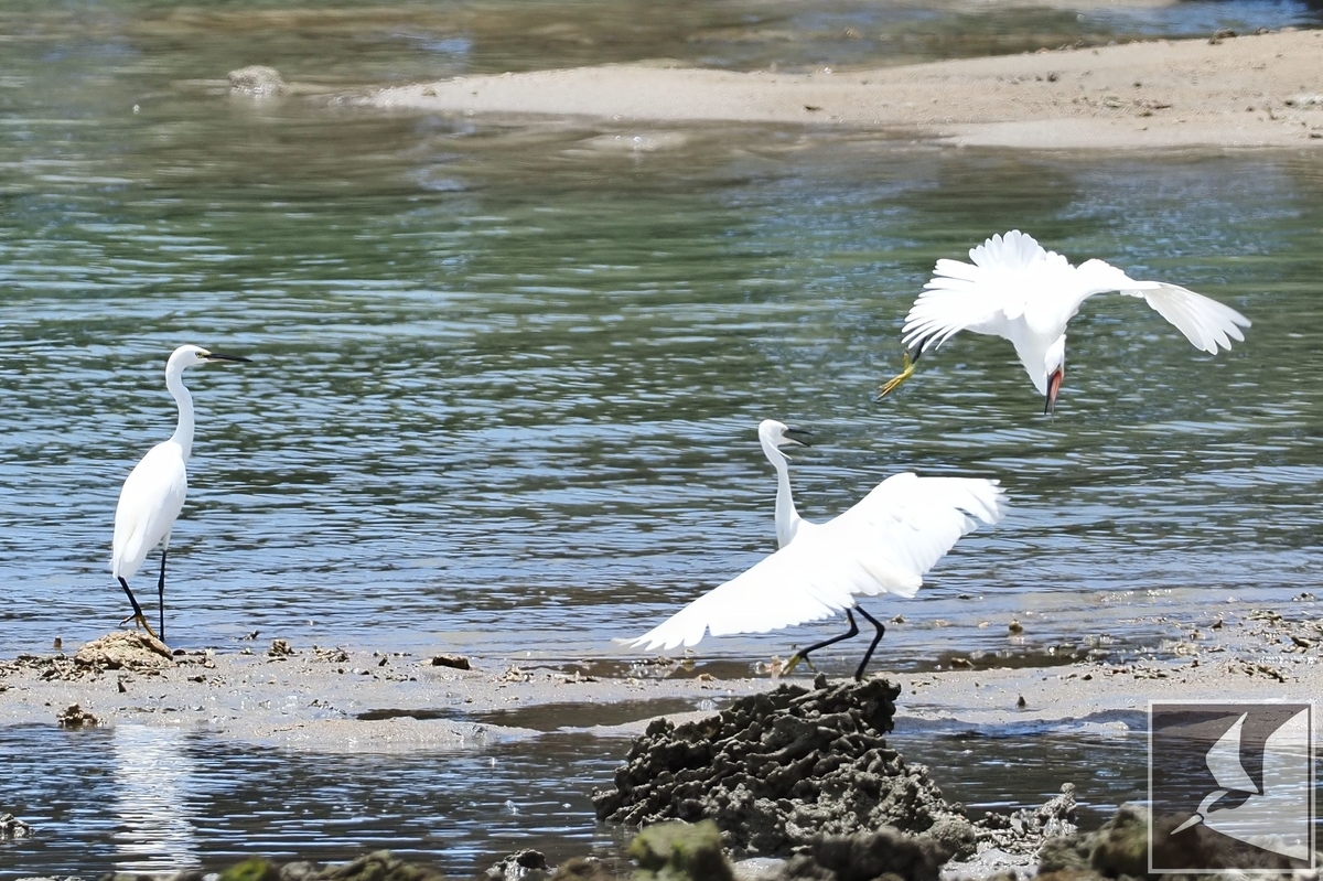 f:id:Okiyasu:20210719201847j:plain