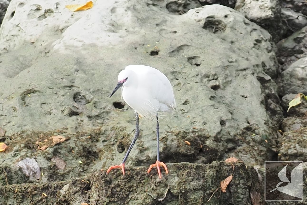 f:id:Okiyasu:20210719204705j:plain