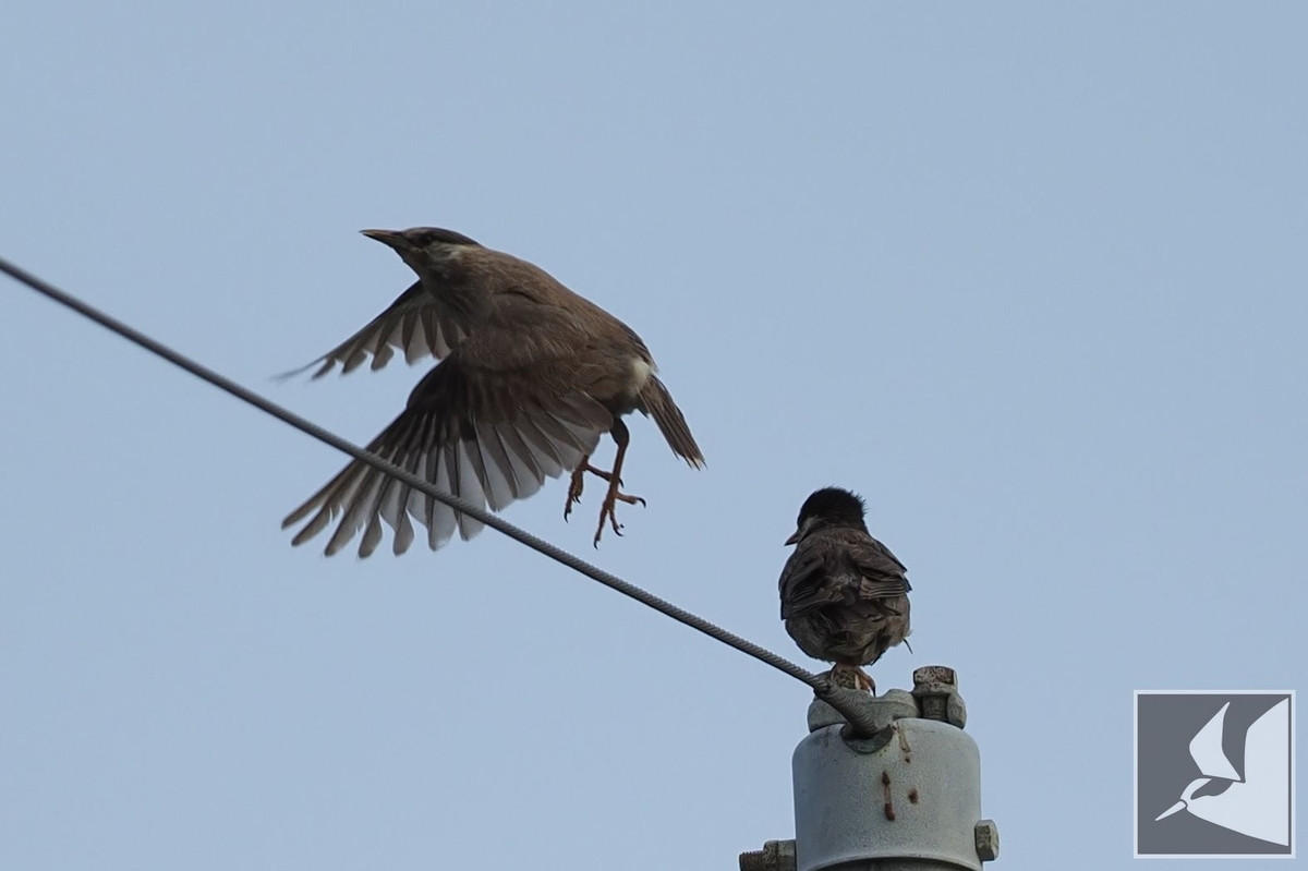 f:id:Okiyasu:20210719204909j:plain