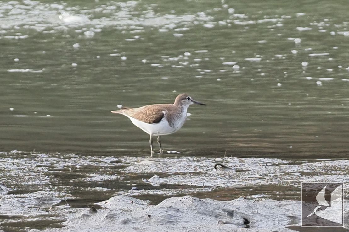 f:id:Okiyasu:20210719205054j:plain