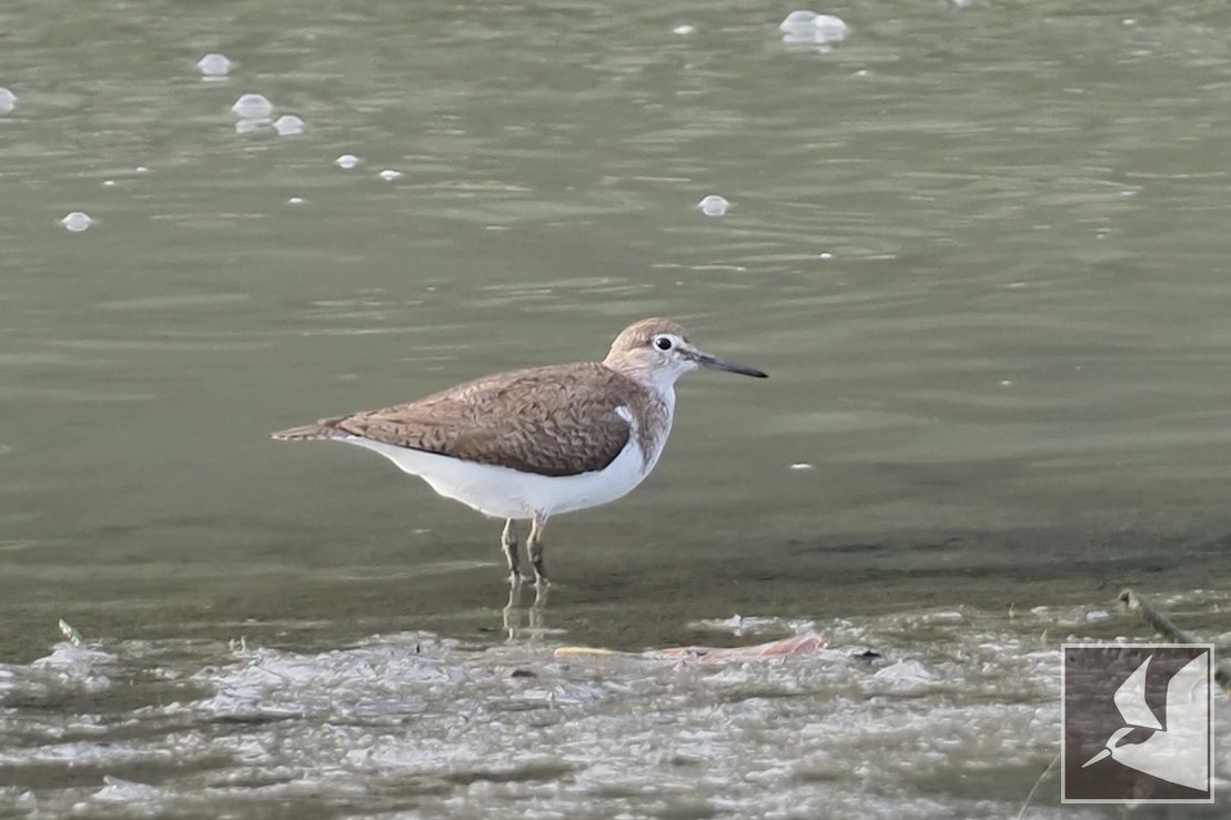 f:id:Okiyasu:20210719205058j:plain