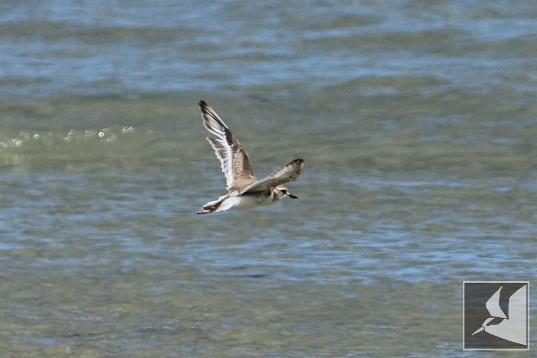 f:id:Okiyasu:20210730135710j:plain