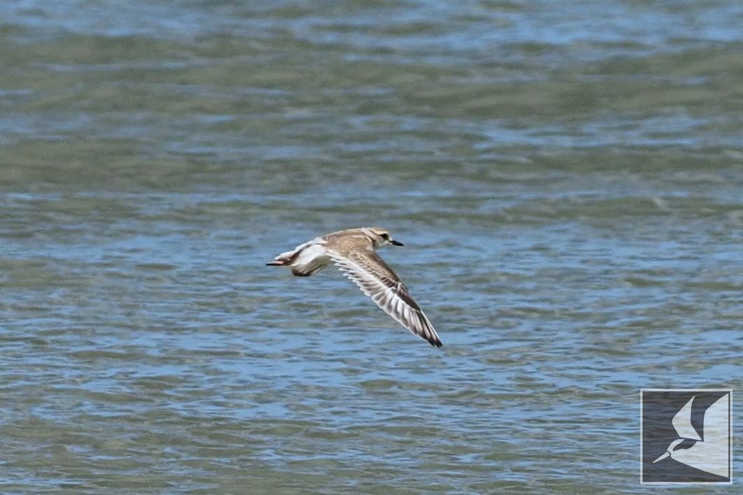 f:id:Okiyasu:20210730135713j:plain