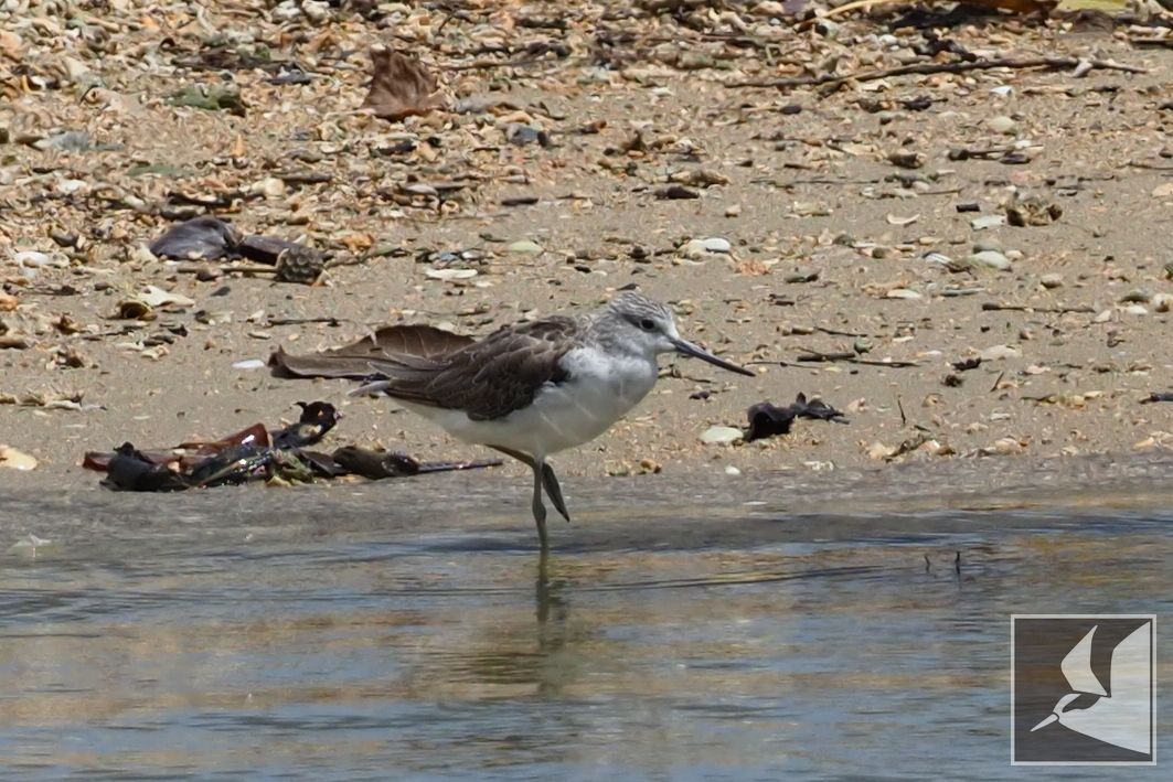 f:id:Okiyasu:20210730135905j:plain