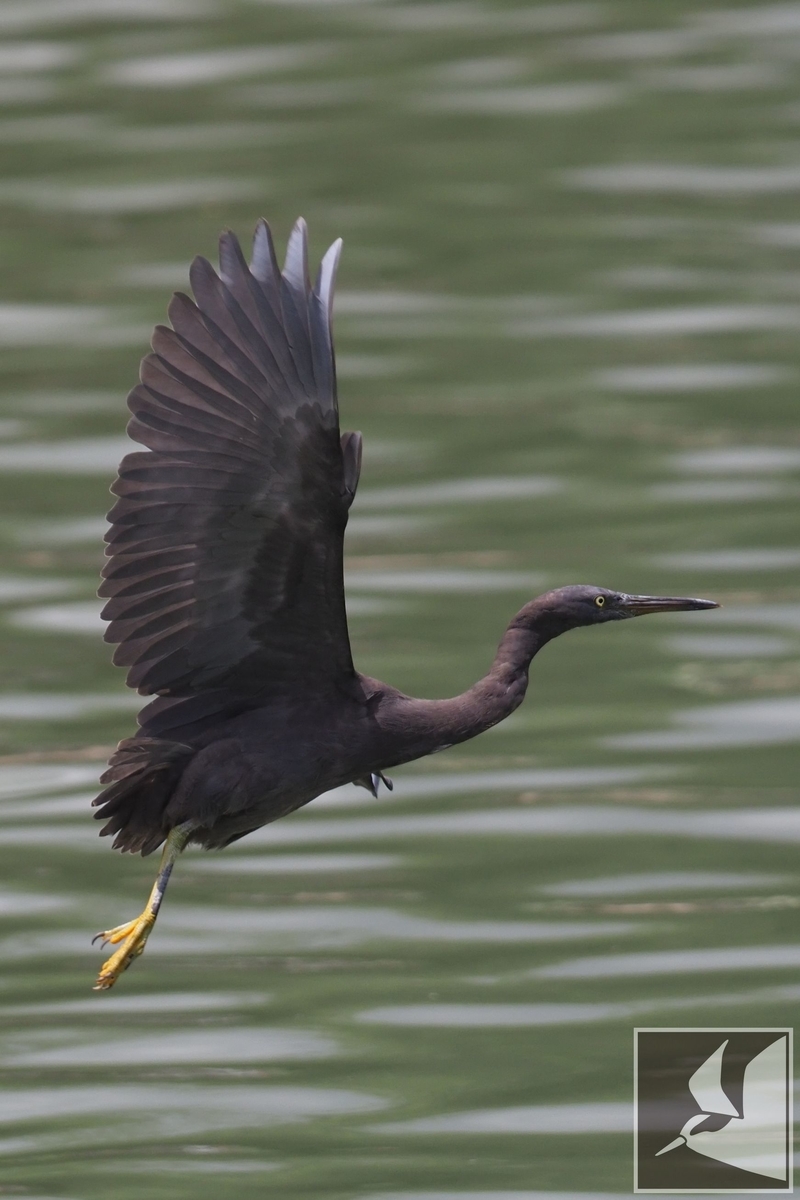 f:id:Okiyasu:20210730140022j:plain