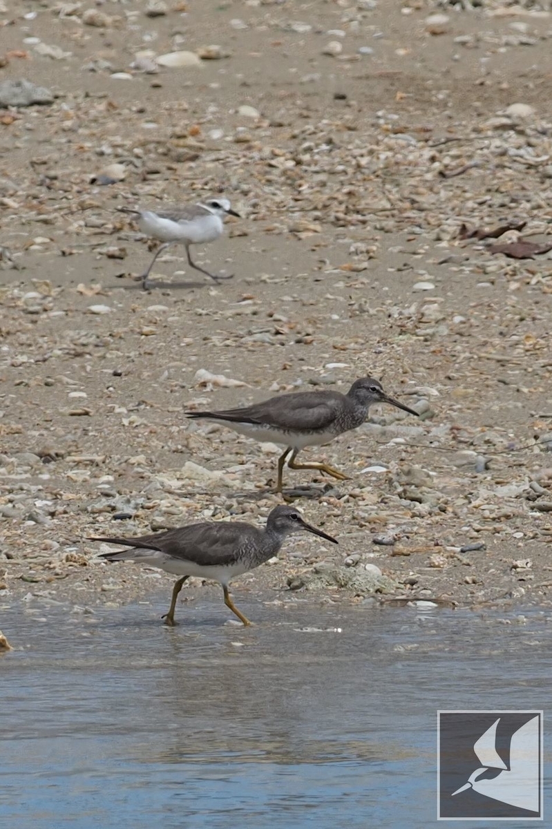 f:id:Okiyasu:20210730140226j:plain