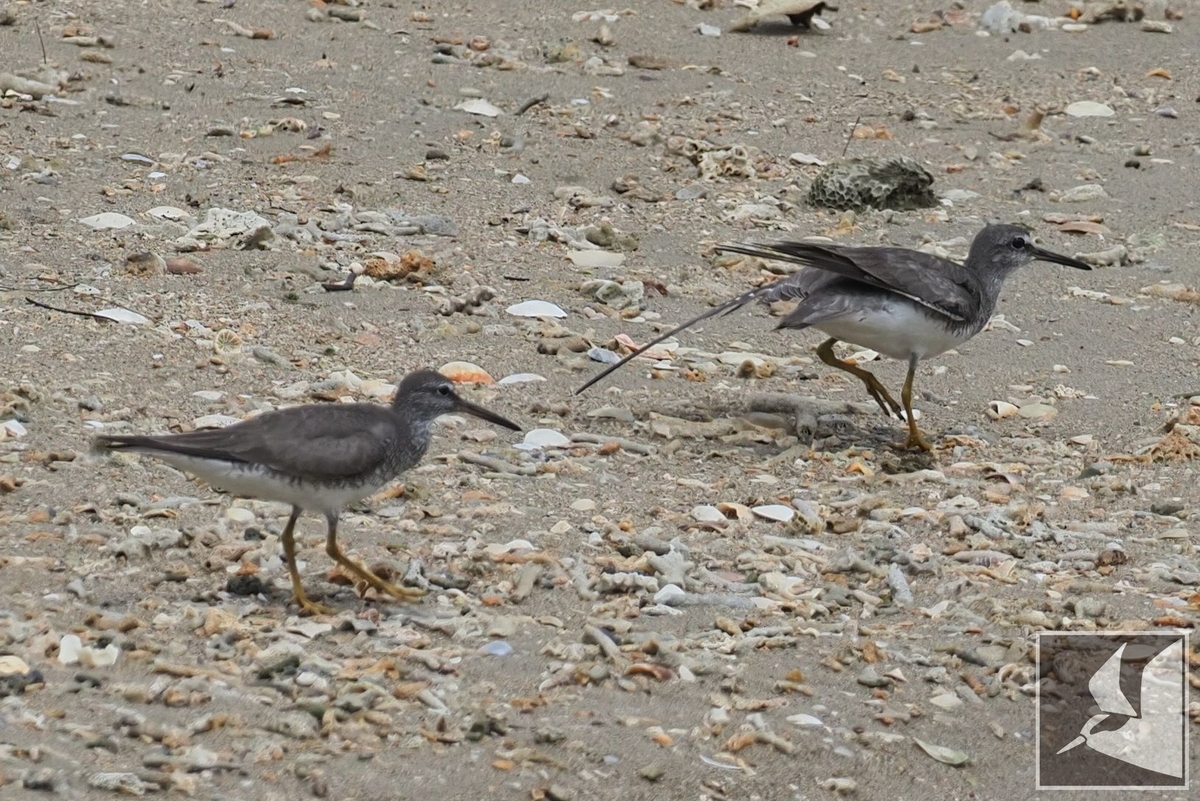 f:id:Okiyasu:20210730140314j:plain