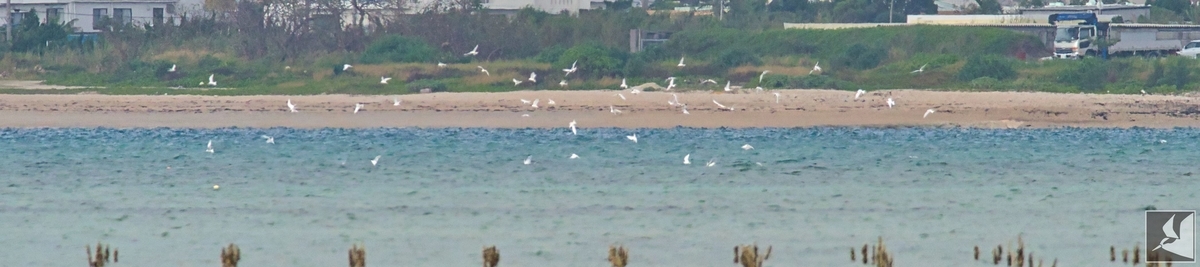 f:id:Okiyasu:20210802205407j:plain