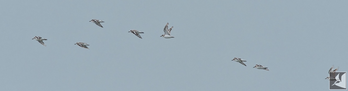 f:id:Okiyasu:20210802210756j:plain