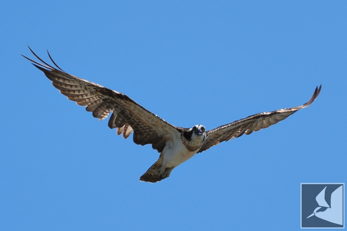 f:id:Okiyasu:20210928070437j:plain