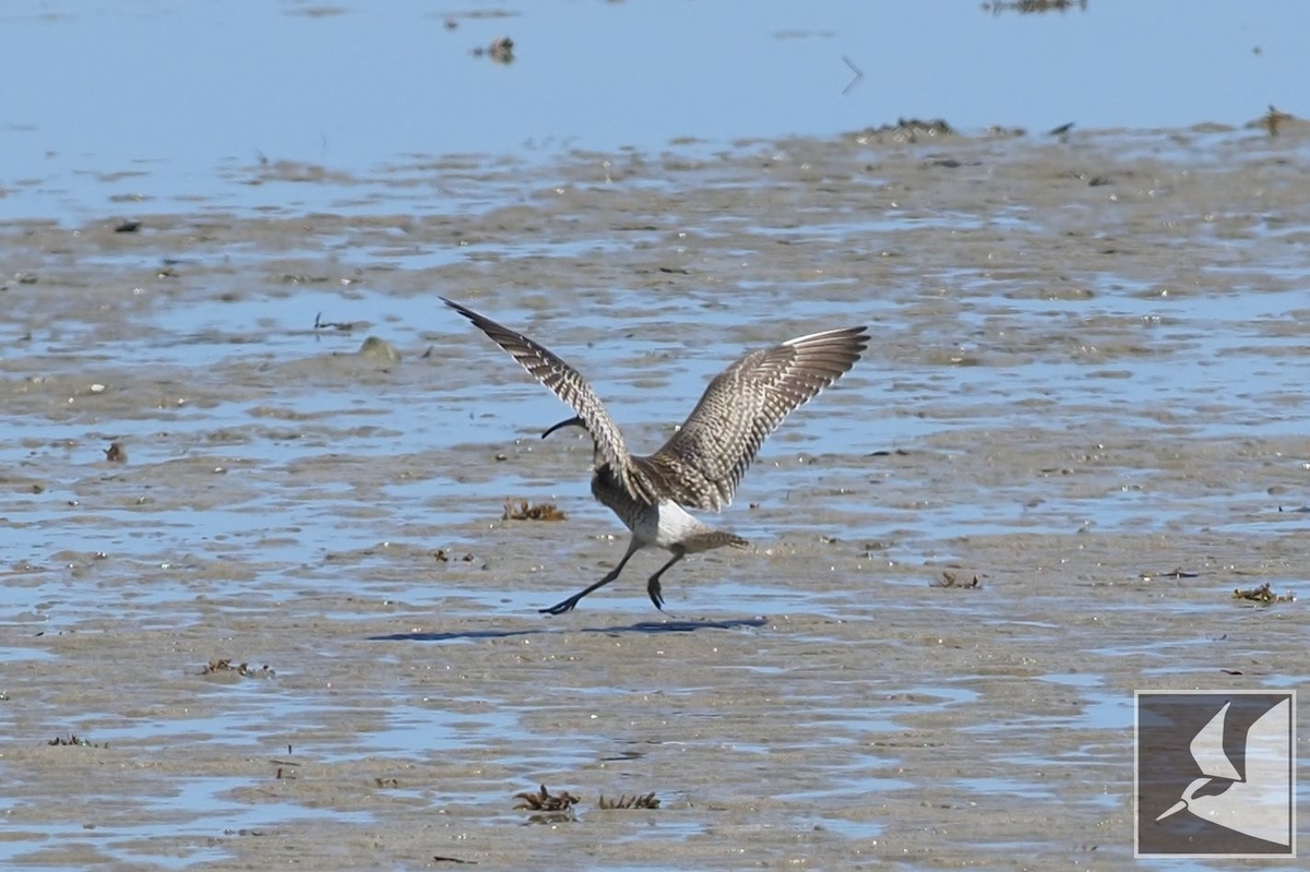 f:id:Okiyasu:20210928070606j:plain