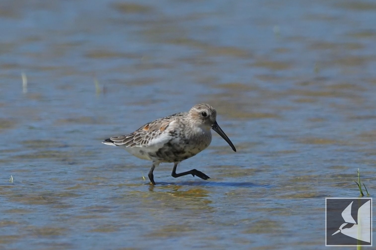 f:id:Okiyasu:20210928081006j:plain