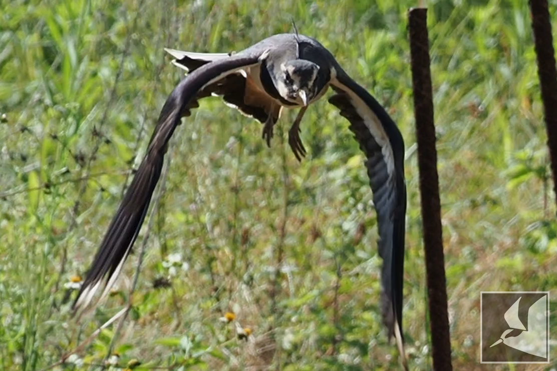 f:id:Okiyasu:20211124081748p:plain