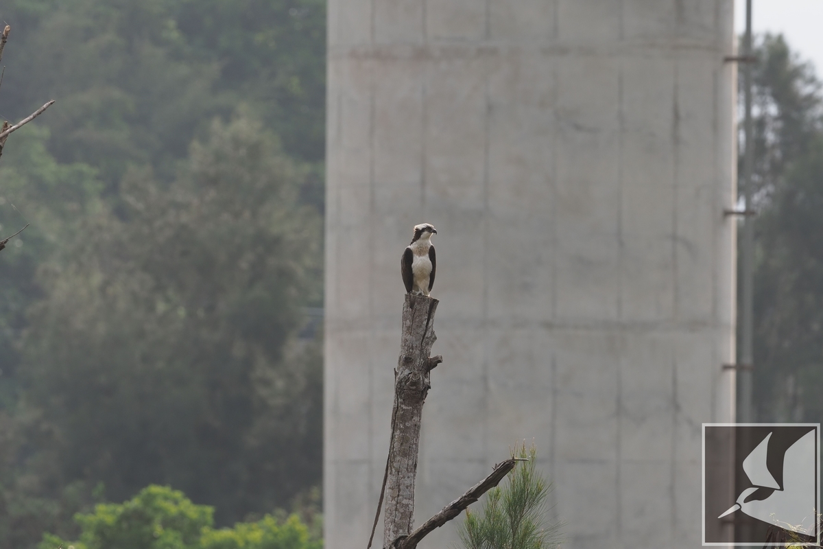 f:id:Okiyasu:20211230233340j:plain