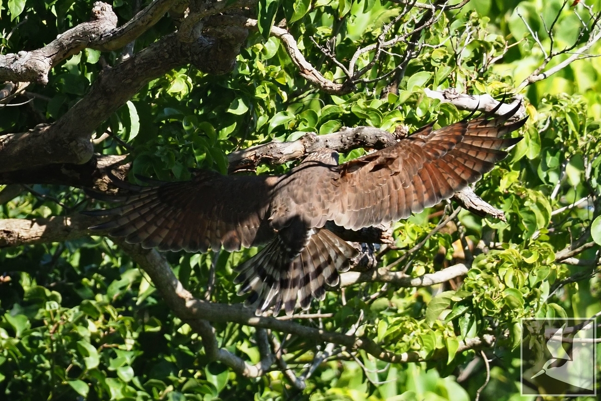 f:id:Okiyasu:20220106061923j:plain