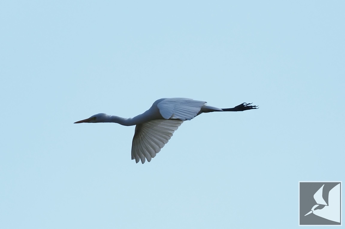 f:id:Okiyasu:20220215102301j:plain