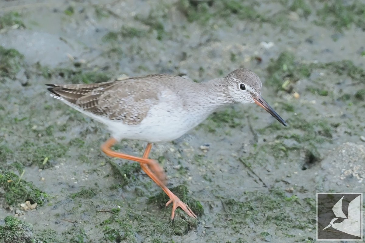 f:id:Okiyasu:20220215103138j:plain