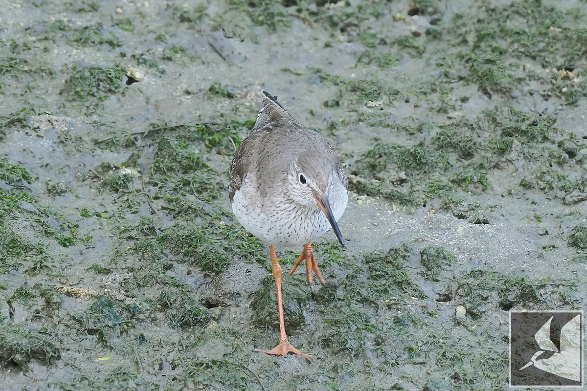 f:id:Okiyasu:20220215103145j:plain