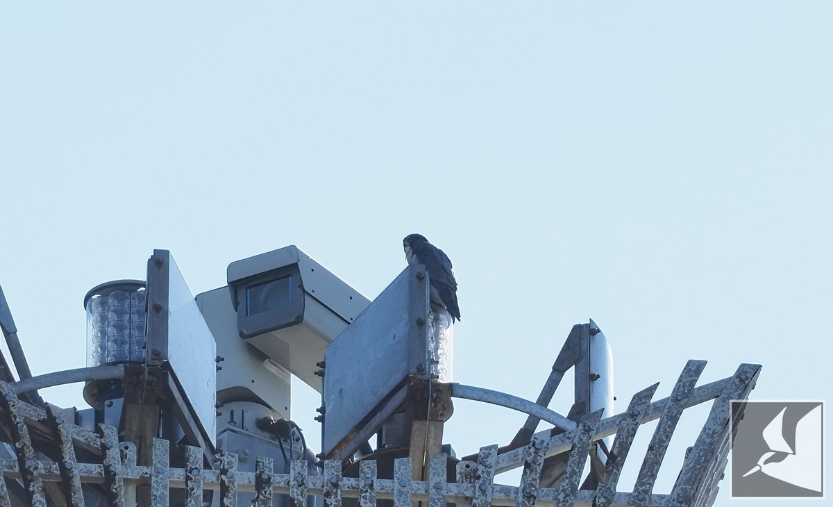 f:id:Okiyasu:20220215103622j:plain