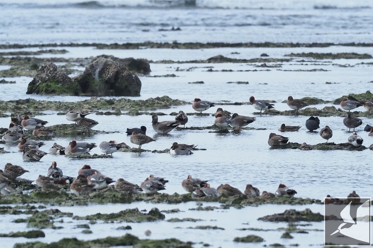 f:id:Okiyasu:20220228223433j:plain