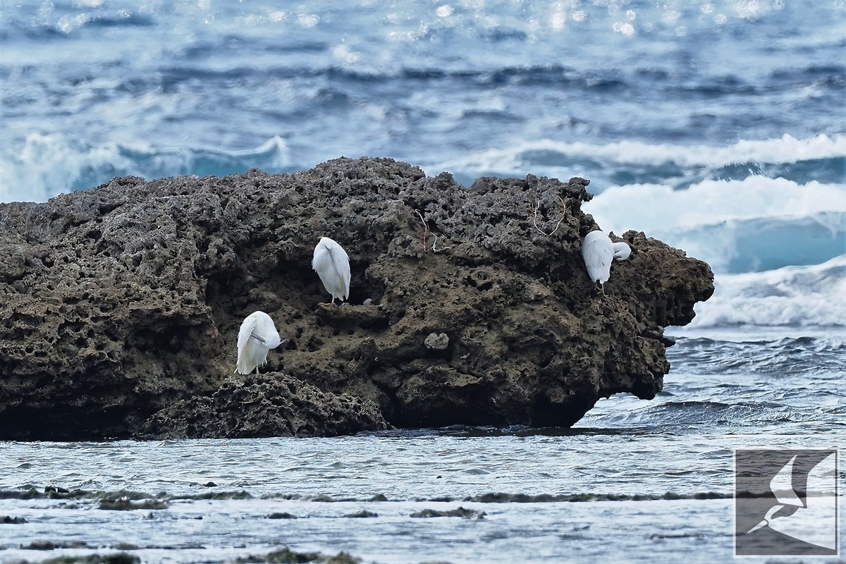 f:id:Okiyasu:20220228225436j:plain