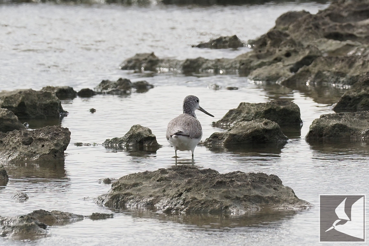 f:id:Okiyasu:20220228225926j:plain