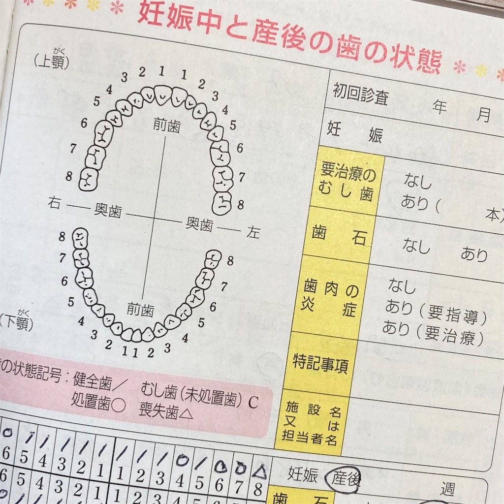 f:id:Omichiko:20220512152630j:image