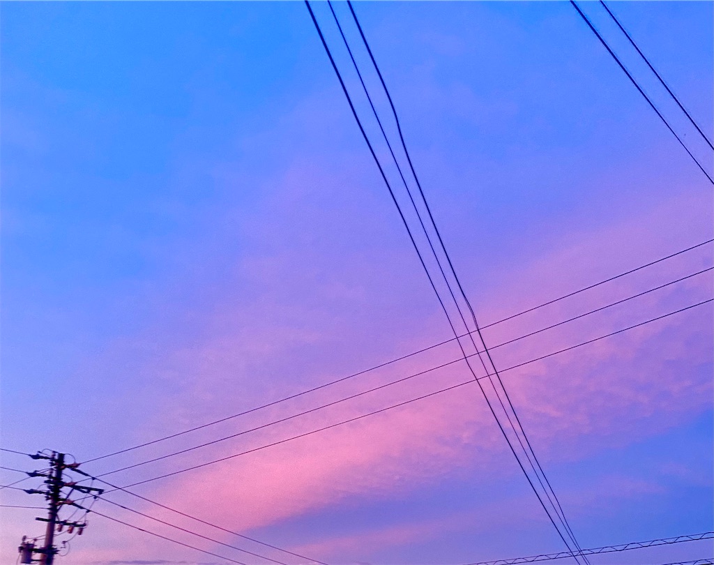 f:id:OmochitoOdango:20240218182108j:image