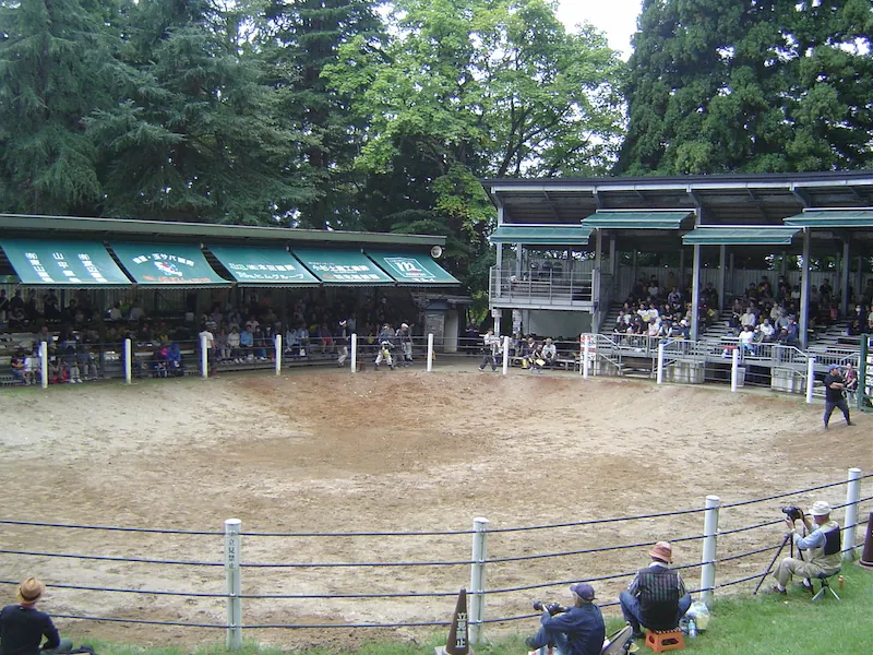 新潟県小千谷市闘牛場の様子。中央空間を取り囲むように観客席が置かれている。和製コロッセオのよう。