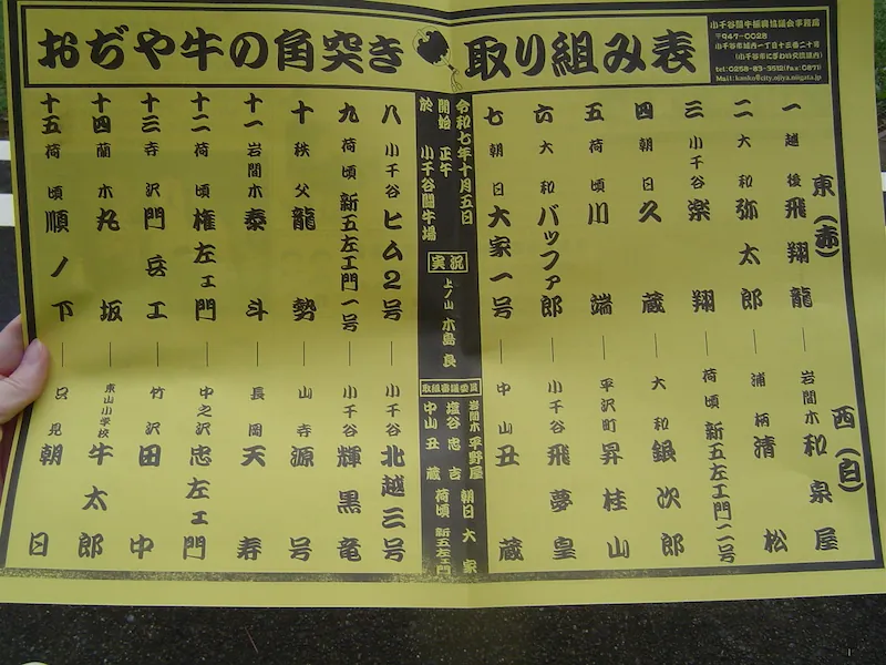 牛の角突き10月場所の取り組み表