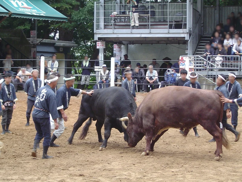 最後の試合では勢子たちも大忙し。一瞬の隙も許されない緊張感が伝わる