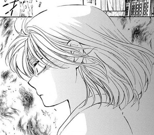 暁のヨナ 第196話 奪う者に奪われた痛みを ネタバレ感想と考察 スウォン 父上の代わりになるってよ 高華国へ旅行中 暁のヨナブログ