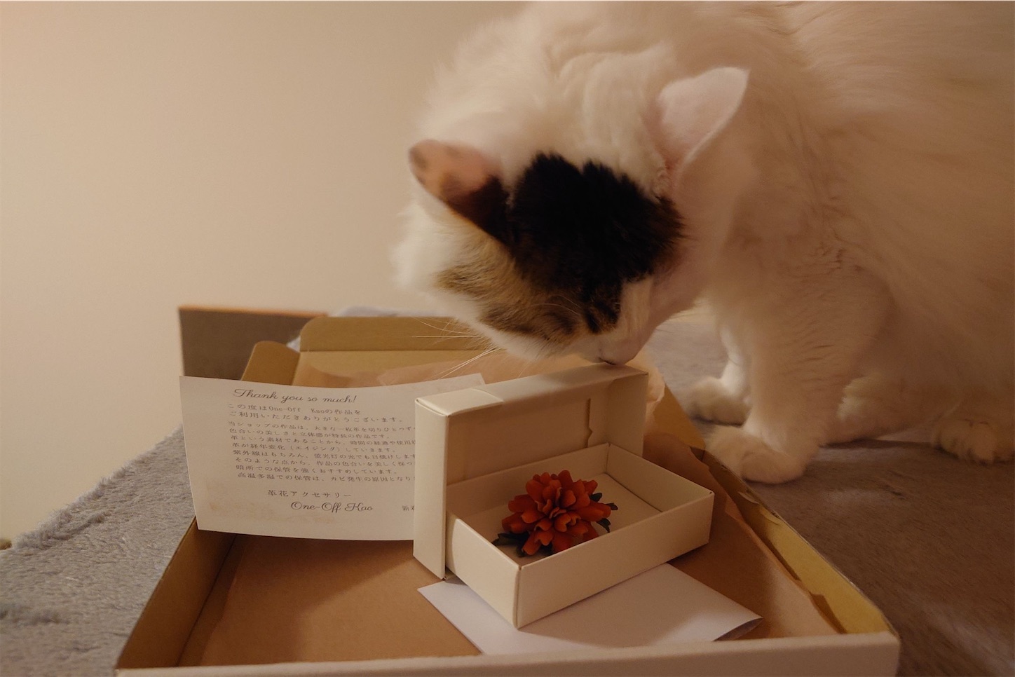 マリーゴールドのポニーフックを収めた箱を覗き込む猫。包装と作品の詳細が見える