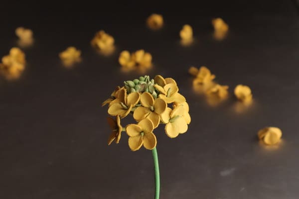 緑の茎と花芯が特徴的な革製の菜の花