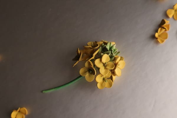 横から撮影された革製の菜の花と細い緑の茎