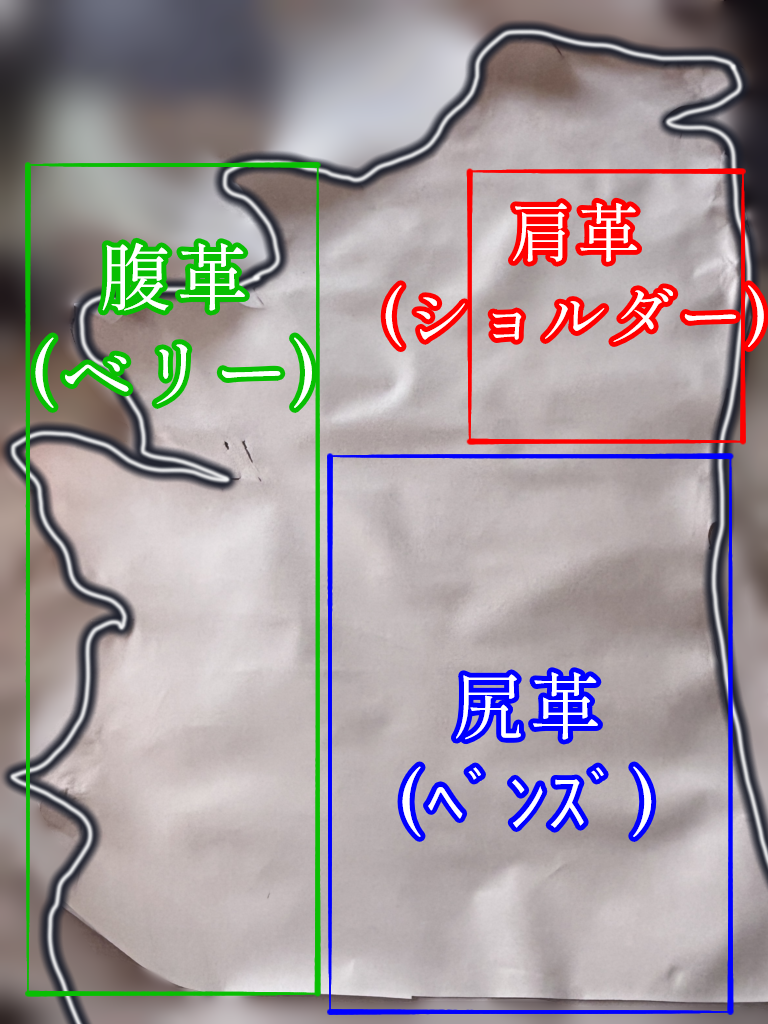 牛革の部位を説明した画像