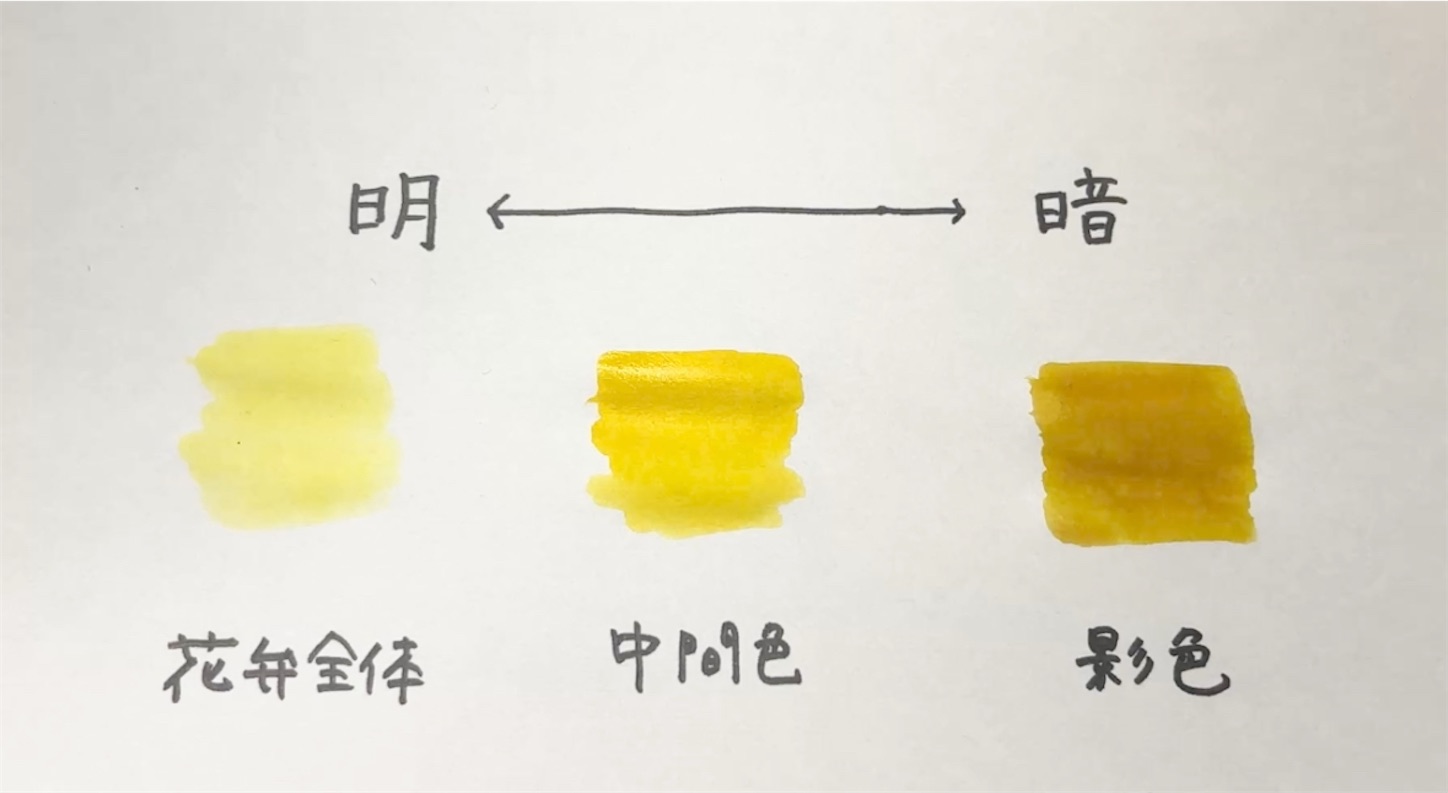 f:id:OneOff-Kao:20250624152659j:image