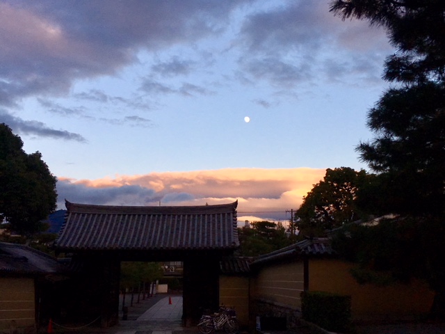 f:id:Onefl:20171201170952j:plain