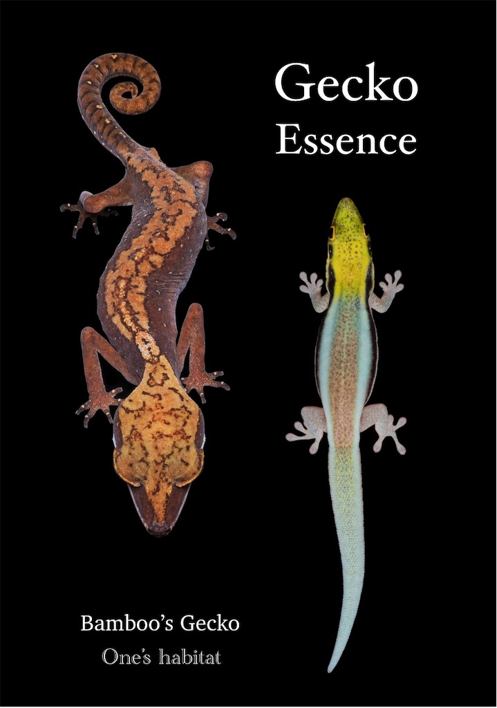 ヤモリ ヤモリ雑誌 Gecko Essence 販売→完売 - One's habitat Blog