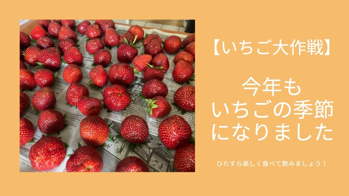 いちご大作戦 今年もいちごの季節になりました ひたすら楽しく食べて飲みましょう