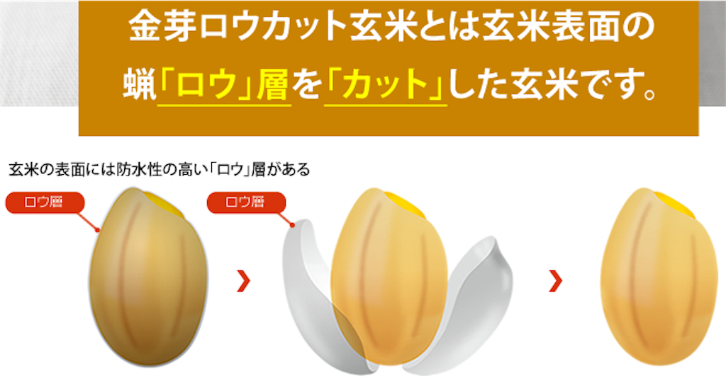 f:id:Onigini:20180913132101p:image