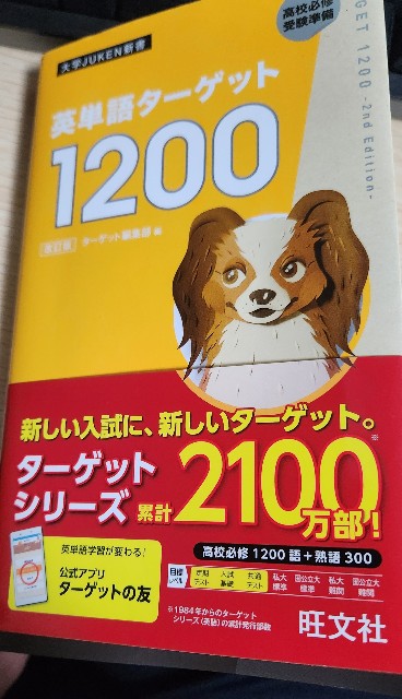 f:id:Oniku_ff:20240612222048j:image