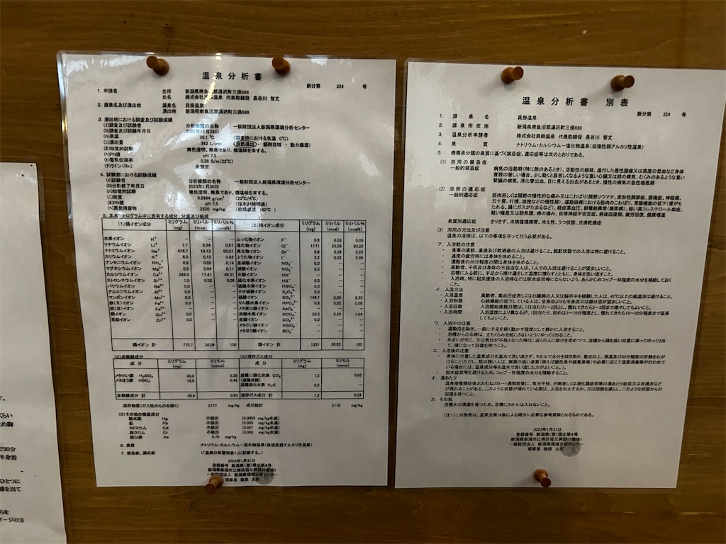 f:id:Onsen-lover:20240522152952j:image