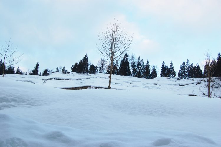 f:id:Oppekepe1900:20200608215157j:plain