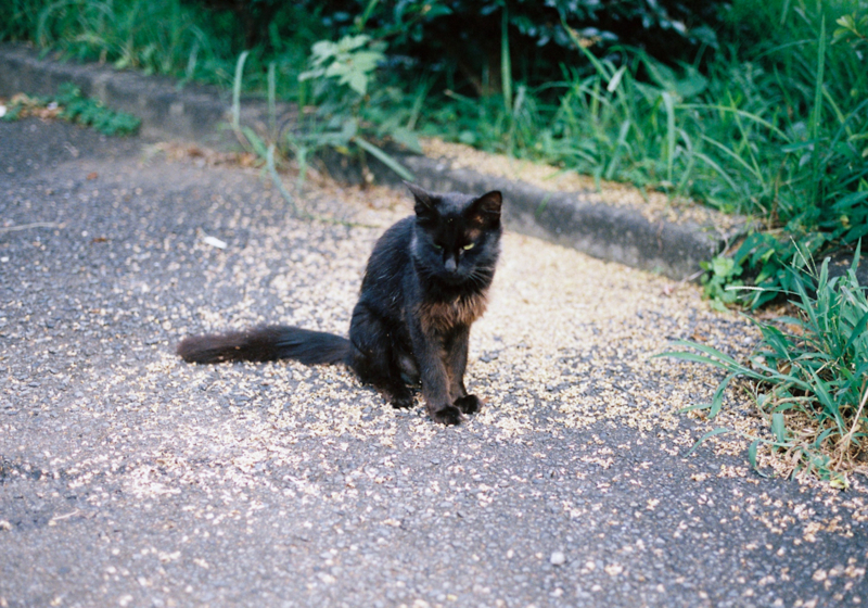 f:id:Opt:20110925235707j:image