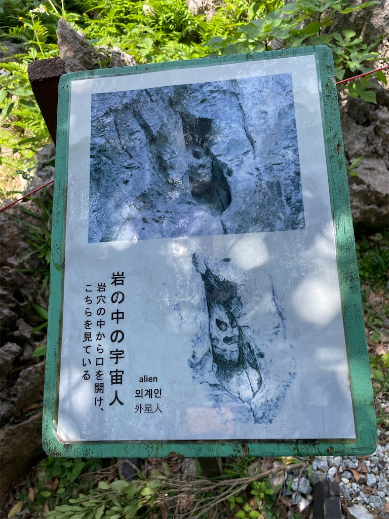 f:id:OrandaTulip:20230502221205j:image f:id:OrandaTulip:20230502221205j:image