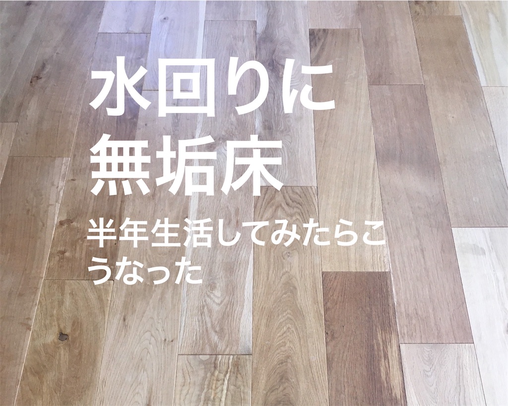 f:id:Ordinary_days:20200929132541j:image f:id:Ordinary_days:20200929132541j:image